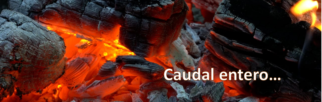 Viernes CAUDAL ENTERO 1024x327